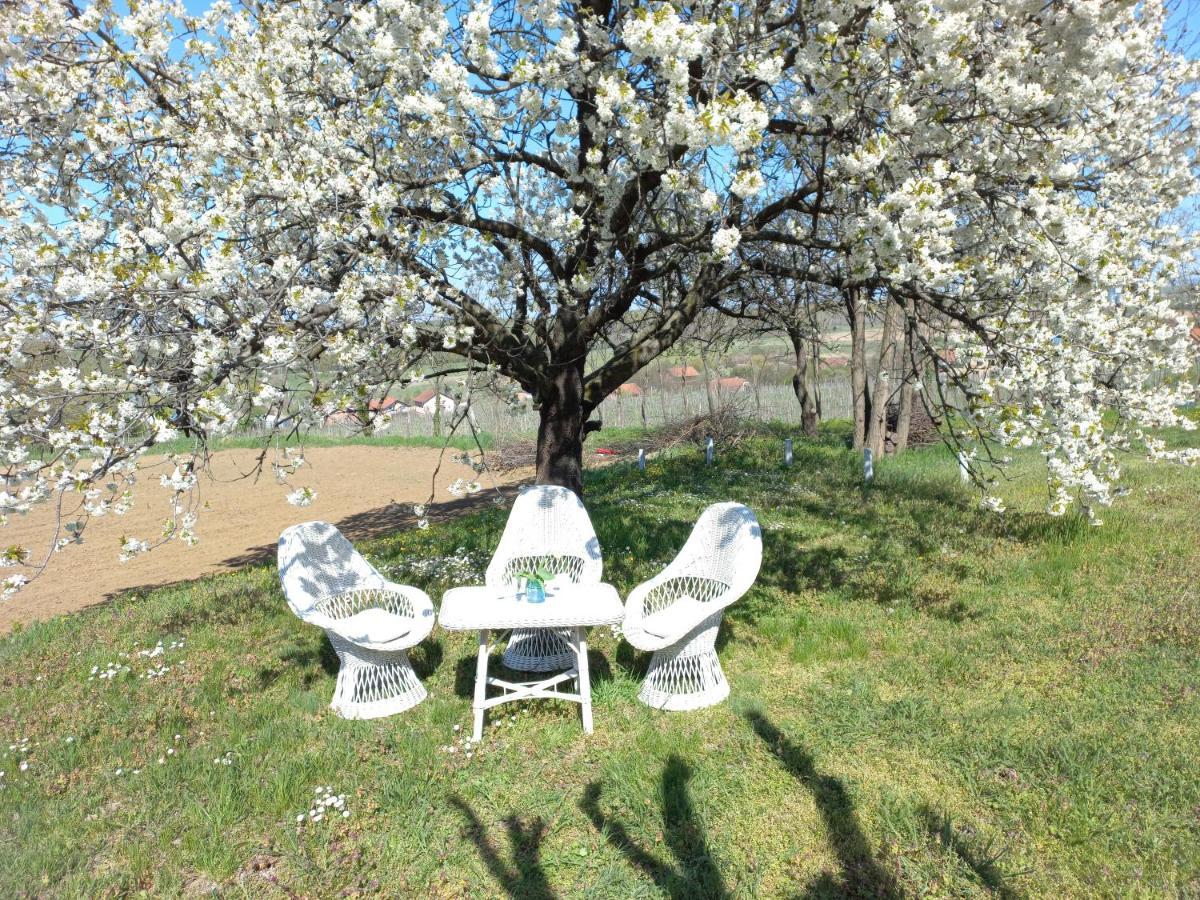 Honey Hill Apartment Fruska Gora Cerevic Extérieur photo