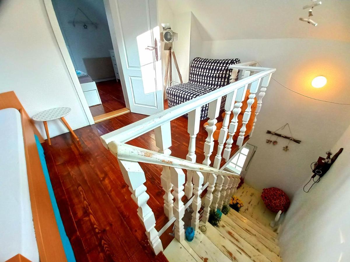 Honey Hill Apartment Fruska Gora Cerevic Extérieur photo