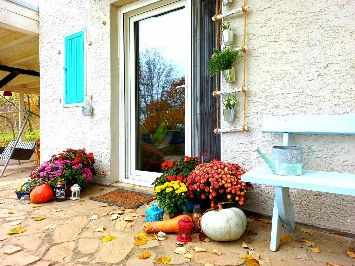 Honey Hill Apartment Fruska Gora Cerevic Extérieur photo