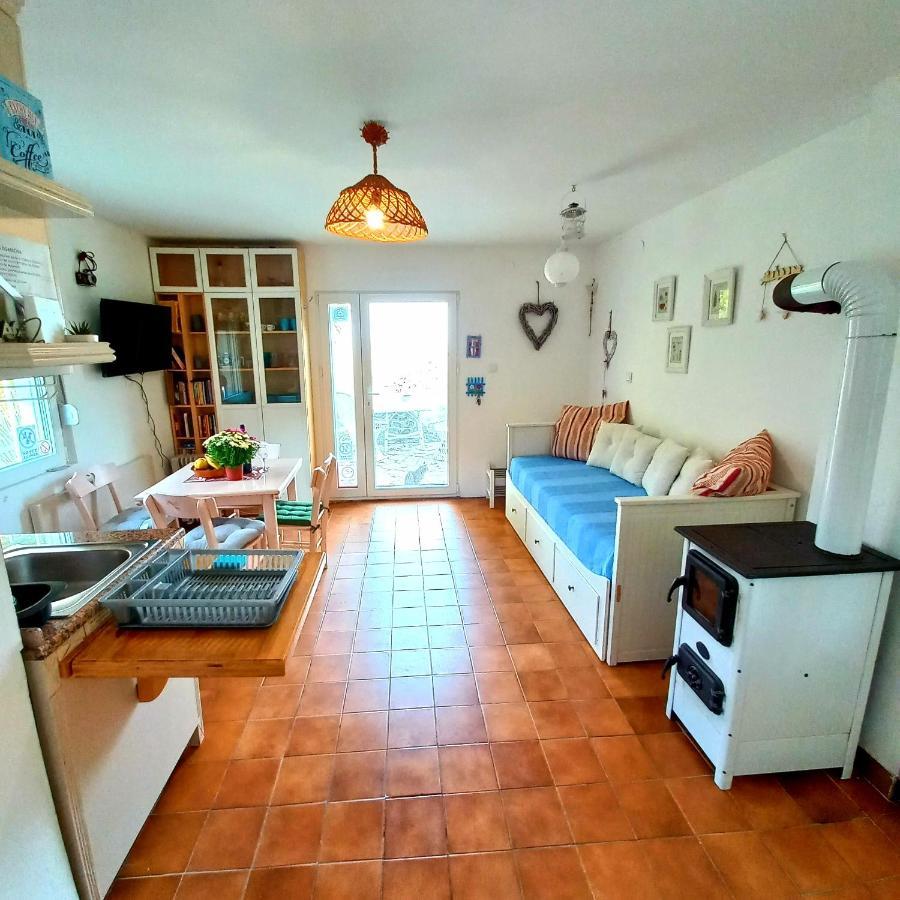 Honey Hill Apartment Fruska Gora Cerevic Extérieur photo